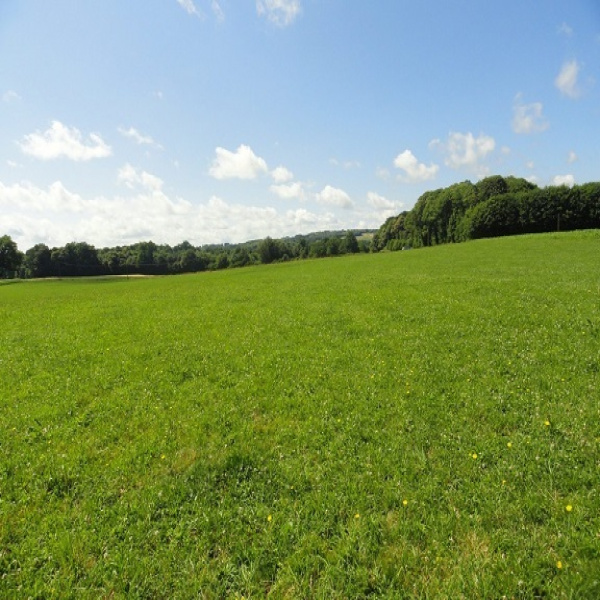 Offres de vente Ferme Saint-Laurent-sur-Gorre 87310