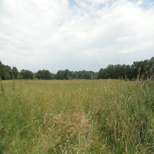 Offres de vente Ferme Bellac 87300